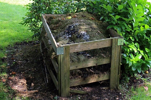 Food Choices for the environment: compost
